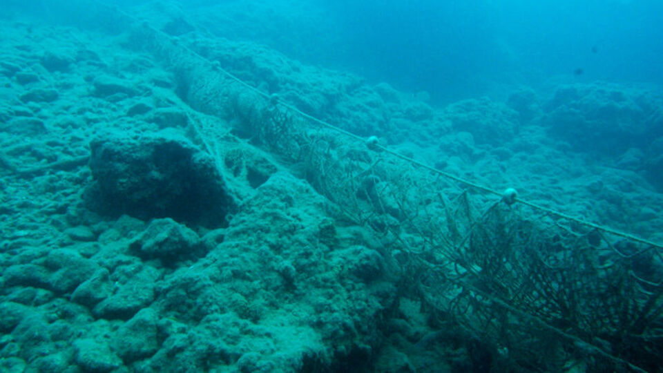 Denizde ekosistemi çökerten 'hayalet'