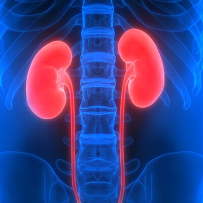 Bu alışkanlıklar böbrekleri bitiriyor!