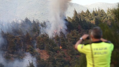 Ateşe verilen lastik ormanı yaktı!
