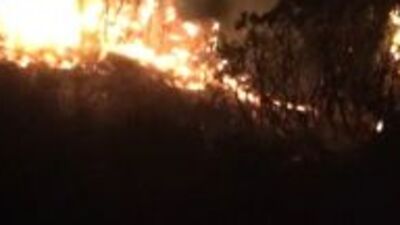 Hatay'da orman yangını