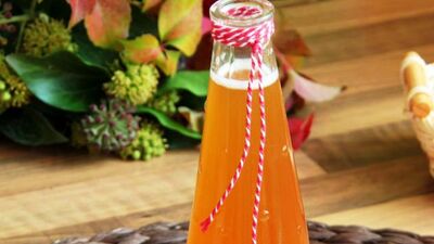 Şifa kaynağı alıç sirkesinin tarifi ve yapılışı