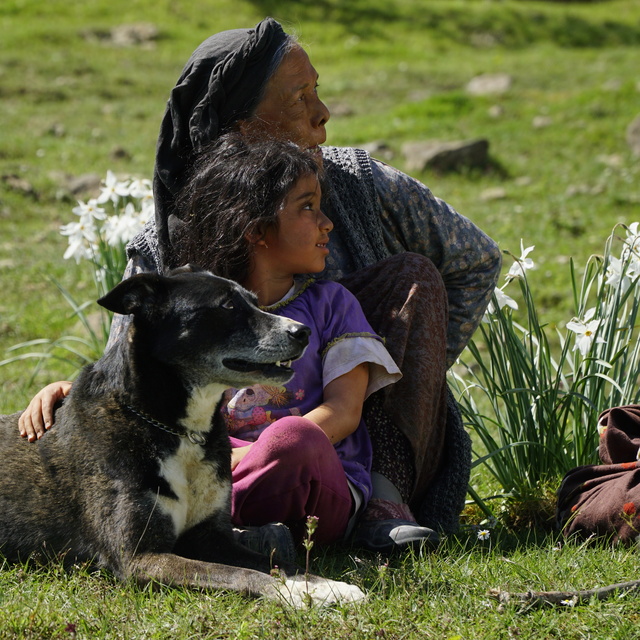 'Koku' filmi görücüye çıktı