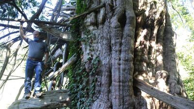 Türkiye'de daha genişi yok!