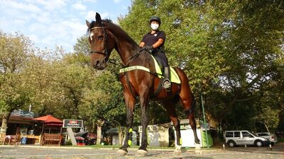 Bursa'da atlı polisler göreve hazır