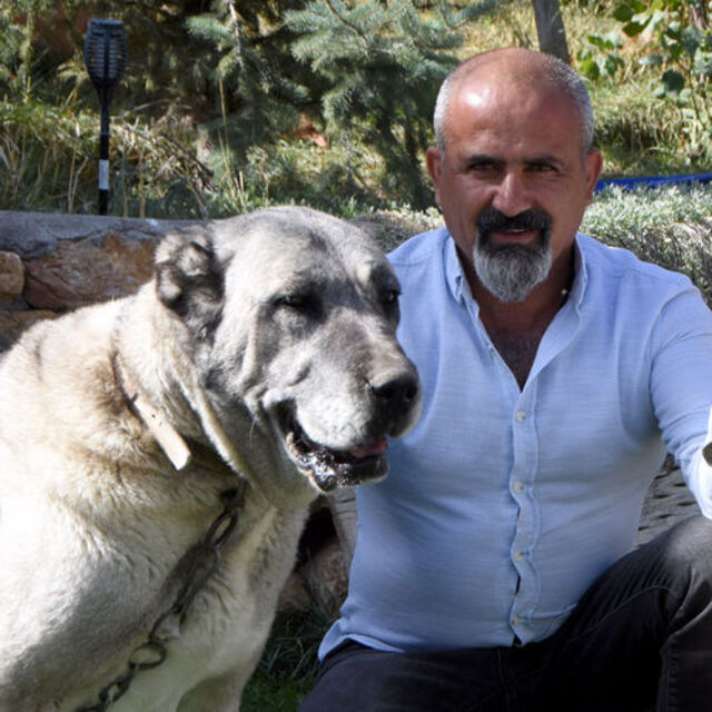 Her şey valilerin atışmasıyla başladı... 'Yoğun talep var'