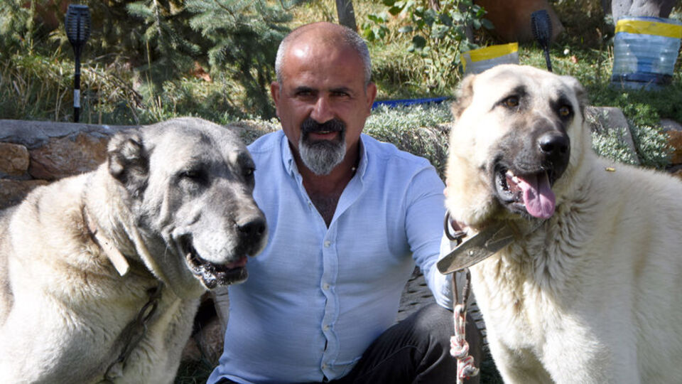 Her şey valilerin atışmasıyla başladı... 'Yoğun talep var'