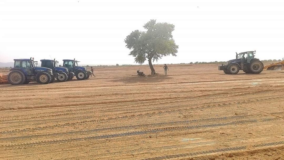 Arazi kavgasında kan aktı: 1 ölü, 2 yaralı!