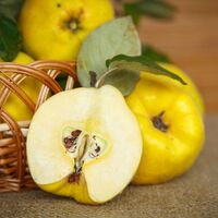 Şifa deposu ayvanın mucizevi faydaları