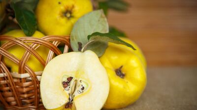 Şifa deposu ayvanın mucizevi faydaları