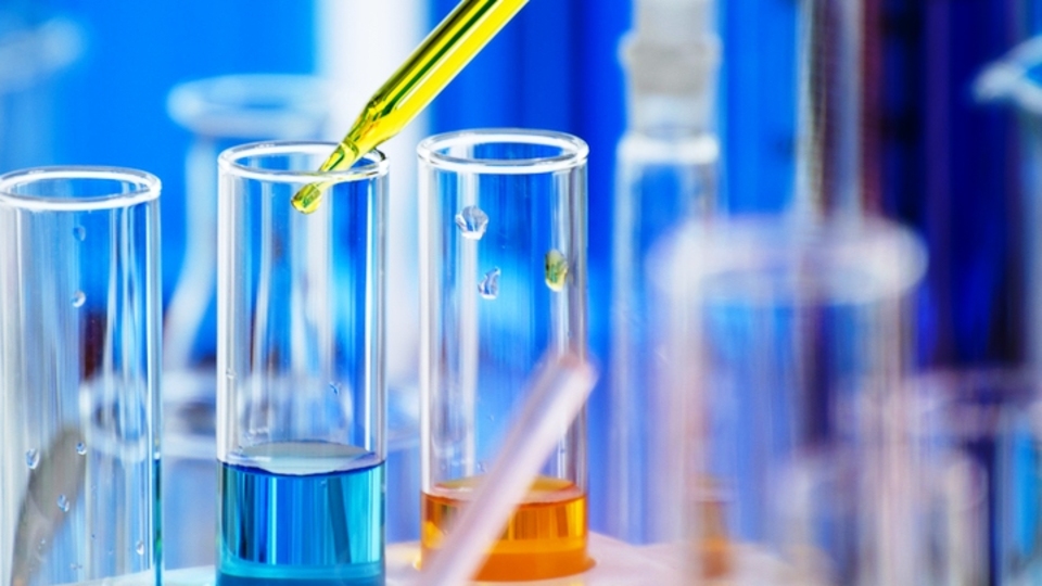 Adezyon terimi, anlamı ve tanımı