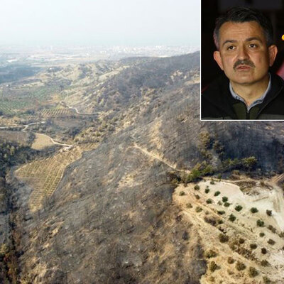 Bakan Pakdemirli açıkladı! Hatay için güzel haber!