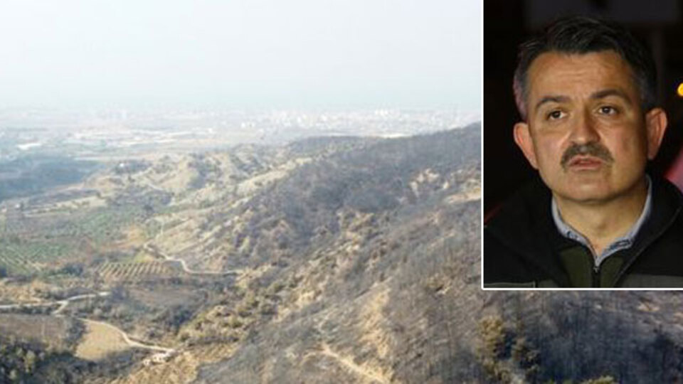 Bakan Pakdemirli açıkladı! Hatay için güzel haber!