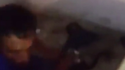 Metruk binada kedileri işkenceyle öldürdü!