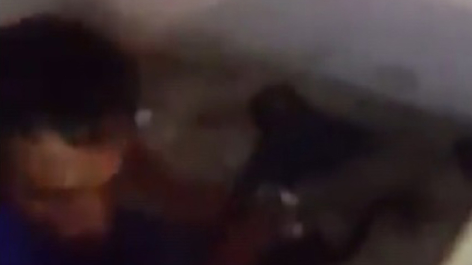 Metruk binada kedileri işkenceyle öldürdü!