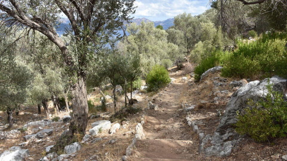 Amos Antik Kenti'nde kurtarma kazısı yapılacak