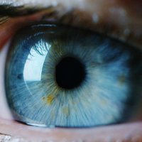 Sahte içkinin ilk belirtisi görme kaybı