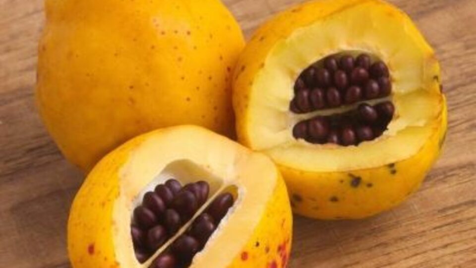 Ayva çekirdeğinin inanılmaz faydaları