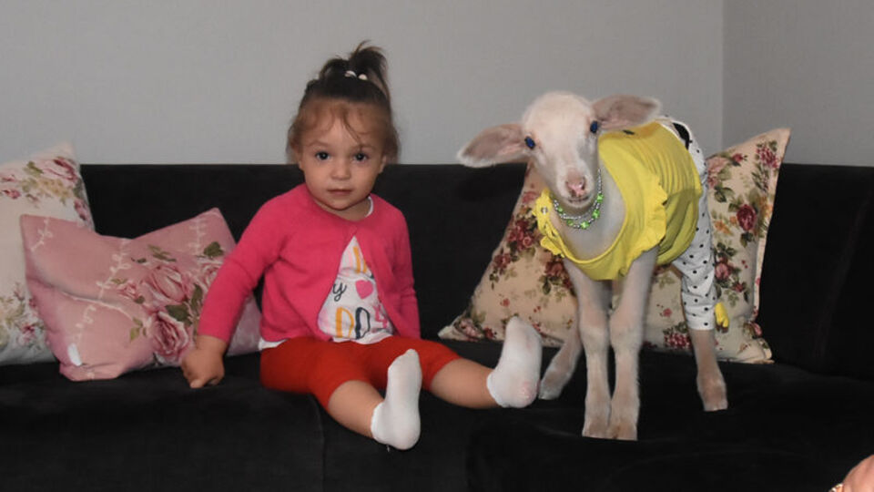 Beril ile 'Topitop'un muhteşem dostluğu!