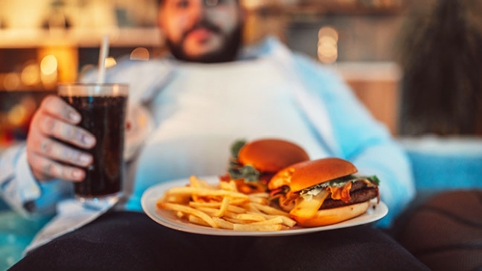 Obezitenin nedenleri nelerdir?