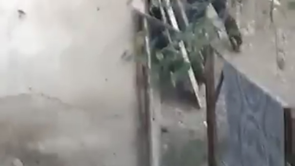 Kümese giren köpeğe korkunç şiddet!