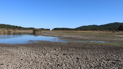 Endişelendiren görüntü... 30 metre çekildi!