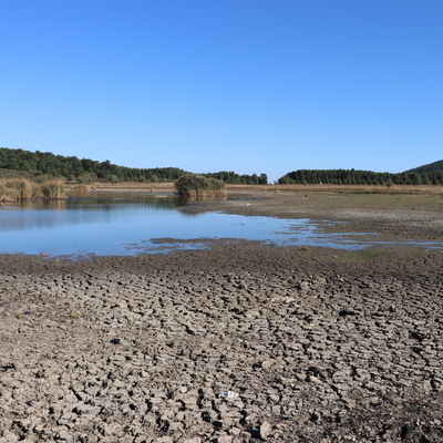 Endişelendiren görüntü... 30 metre çekildi!