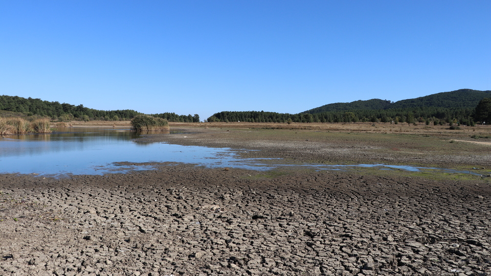 Endişelendiren görüntü... 30 metre çekildi!