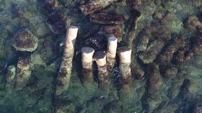 Boyları 12 metre, ağırlıkları 50 ton! 2 bin yıllık