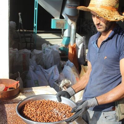 Köylüler ölümü göze alıyor! Kilosu tam 800 TL!