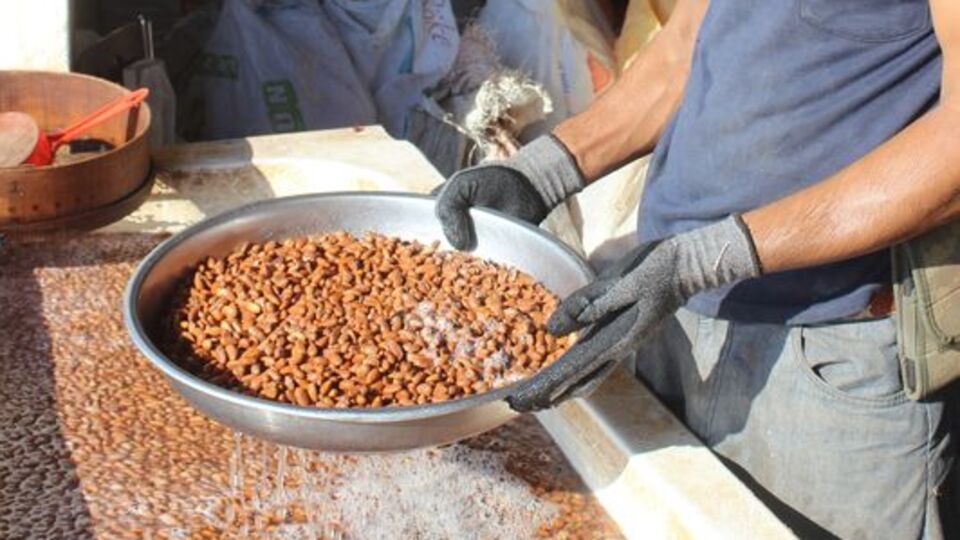 Köylüler ölümü göze alıyor! Kilosu tam 800 TL!