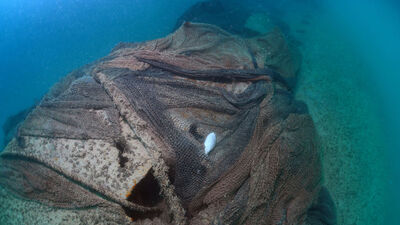 Hitler'in kayıp denizaltısı Sakarya'da görüntülendi