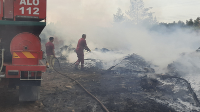 İzmir'deki orman yangınında sabotaj şüphesi!