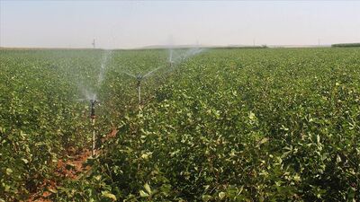 Tarım ve sulamaya 57,5 milyar lira kaynak