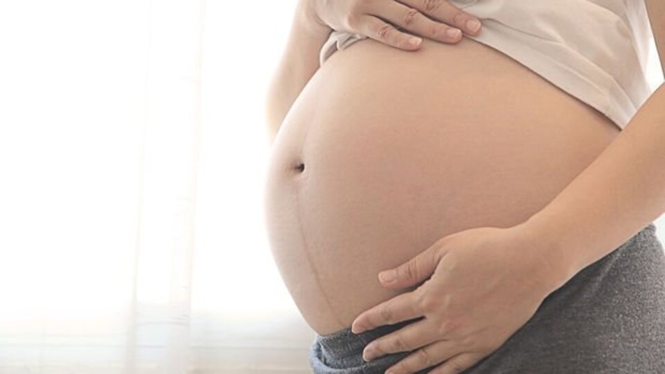 Hamileliğin 8. haftasında neler oluyor?