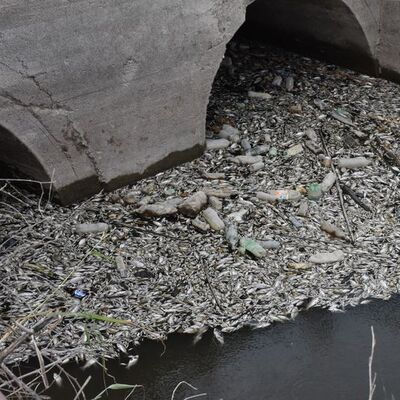Korkuttu! İnceleme başlatıldı
