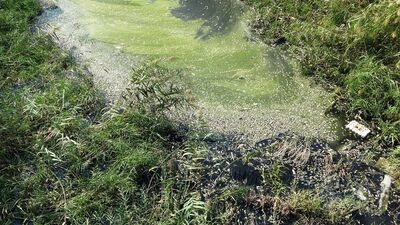 Bir felaket haberi de Bursa'dan geldi!