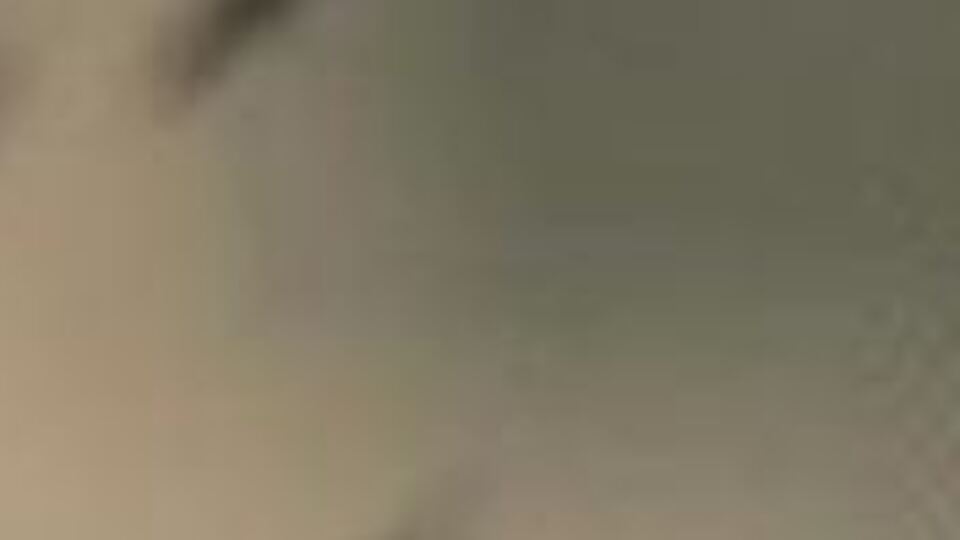 DSÖ: Yemen'in kuzeyinde 9 ayda dang hummasından 76 kişi öldü