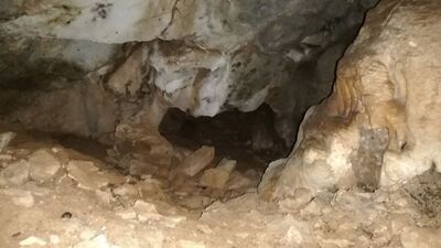 23 yıldır aranıyordu! Öldürüldü!