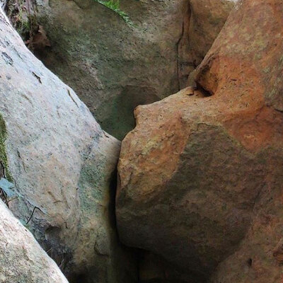 İlk bakışta ne gördünüz? Şaşkına çevirdi