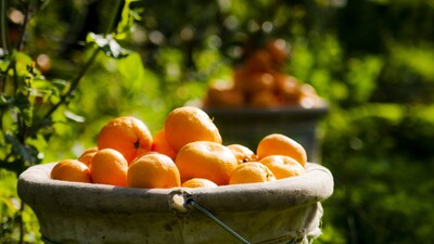 İhracatta rekor beklentisi