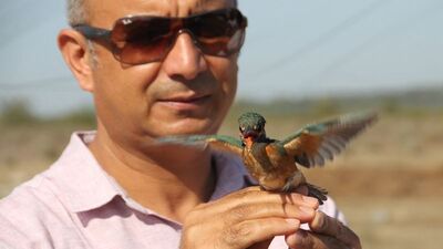 Boğazkent'te halkalandı, Finlandiya'da yakalandı