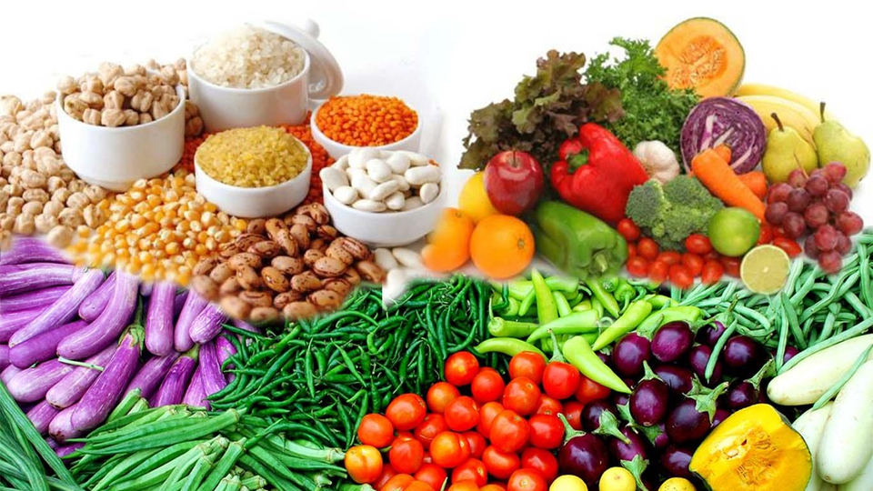 TÜİK: Bitkisel üretim artacak