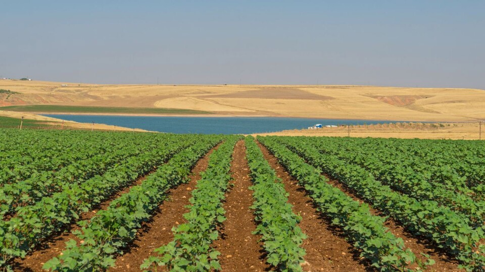 Tarımsal arazi piyasası oluşturulacak