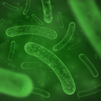 Ölüsü de dirisi de faydalı! Koronavirüs ile savaşıyor!