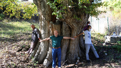 Artvin'de bulundu... "Dünyanın en yaşlısı olabilir"
