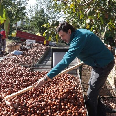 'İnsan şehre dönmek istemiyor'