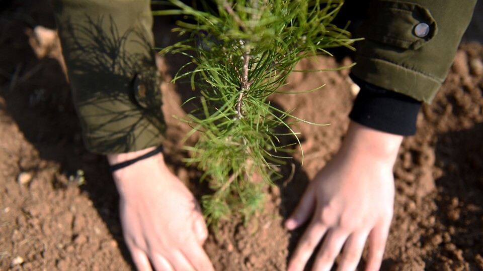 Çevre koruma harcamaları arttı