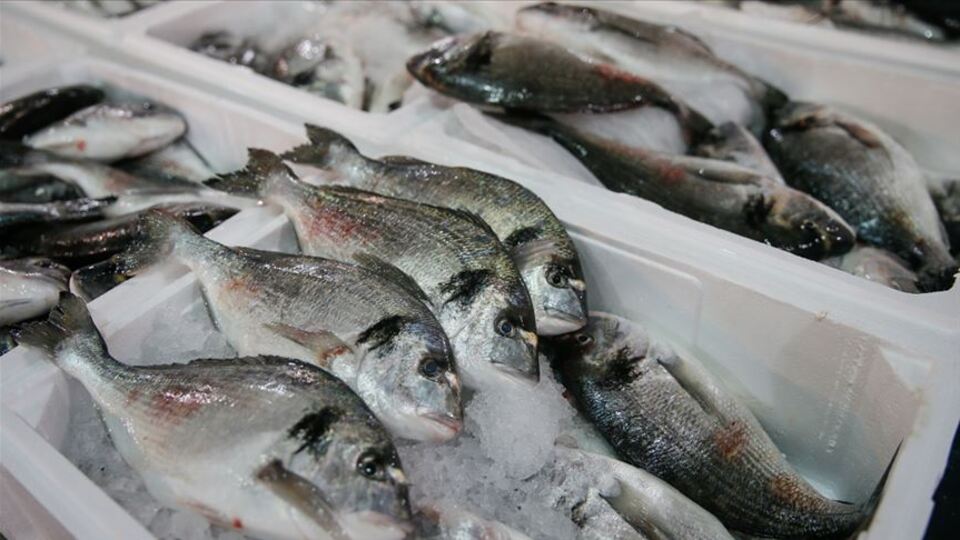 85 ülkeye su ürünleri ihracatı