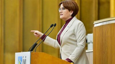 Akşener'den Fransa'ya sert tepki