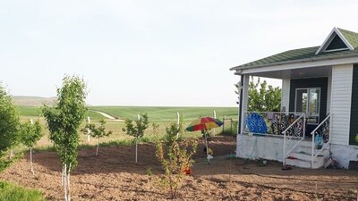 Hobi bahçesi düzenlemesi nedir?